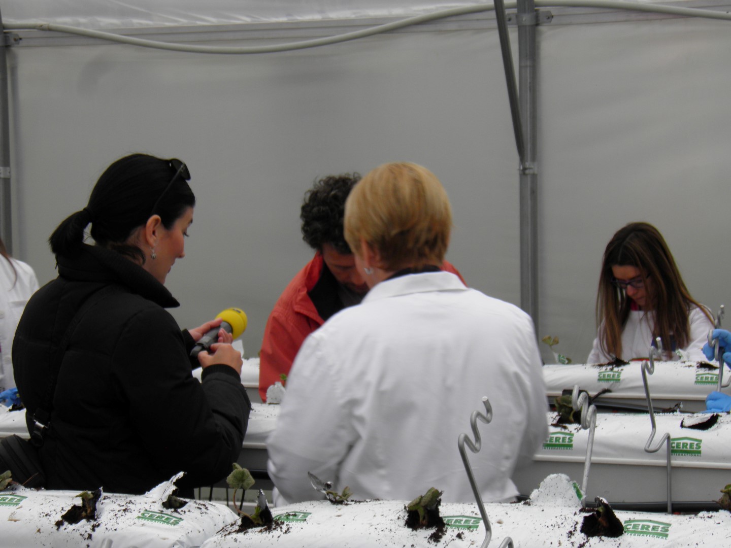 OLYMPUS DIGITAL CAMERA OLYMPUS DIGITAL CAMERA