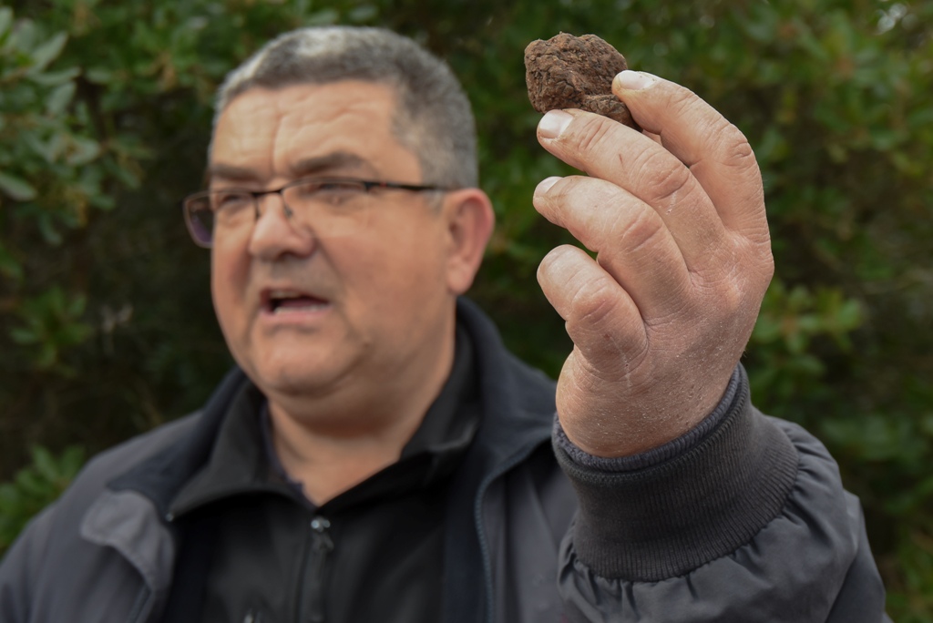 Tuna, sushi and wine festival: Ručak u Kraljevskim vinogradima Tuna, sushi and wine festival: Ručak u Kraljevskim vinogradima