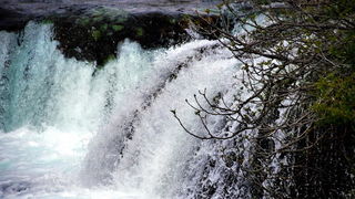 Pješačka staza Obrovac – Jankovića buk