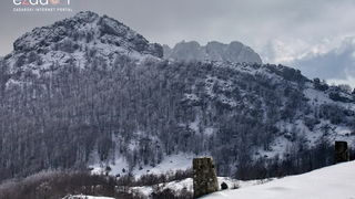 Tulove grede pod snježnim pokrivačem Tulove grede pod snježnim pokrivačem