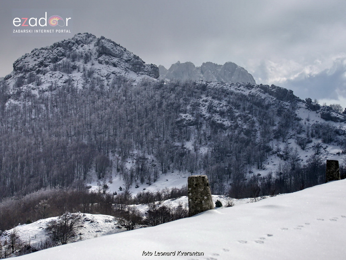 Tulove grede pod snježnim pokrivačem Tulove grede pod snježnim pokrivačem