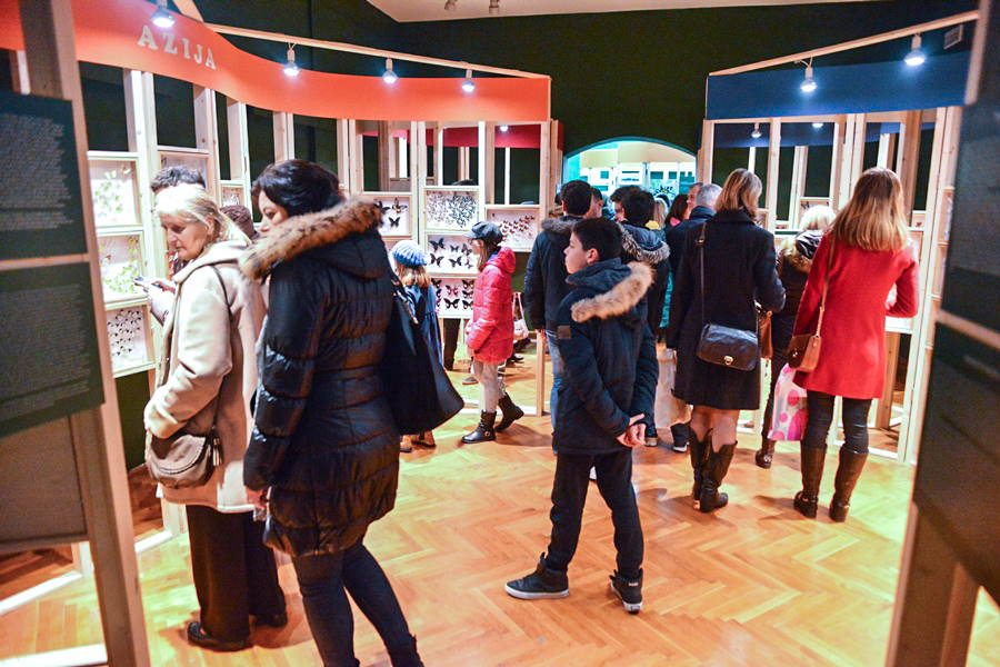 11. Noć muzeja u Zadru, foto-Iva Perinčić 11. Noć muzeja u Zadru, foto-Iva Perinčić