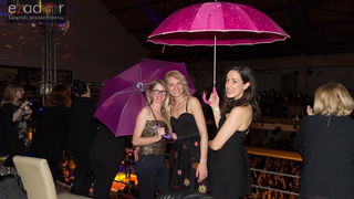 Parni valjak Unplugged @ Arsenal Zadar 24. veljače 2017.