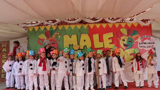 Virske “Male maškare”: najveselija karnevalska povorka Virske “Male maškare”: najveselija karnevalska povorka