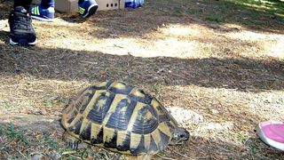 “Zelena čistka”: Musapstan “lakši” za 3 tone otpada!