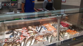 Otvoren hipermarket Tommy na Putu Bokanjca Otvoren hipermarket Tommy na Putu Bokanjca