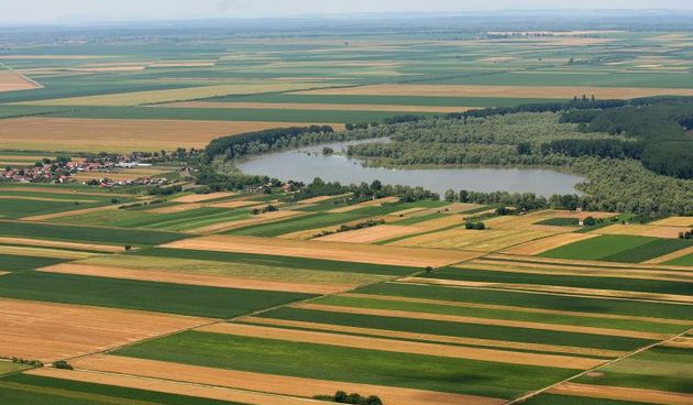 Osijek – Obradjena zemljista Slavonije i Baranje. Photo: Davor Javorovic/PIXSELL Autor  Davor Javorovic/PIXSELL KLJUČNE RIJEČI  polje, zemlja, poljoprivreda, Landwirtschaft, oranica, usjev, zracne snimke, ilustracija, agriculture, oranice
