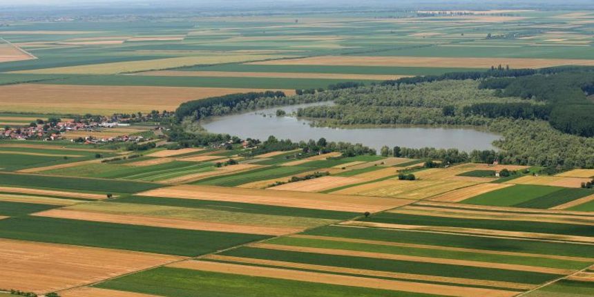 Osijek – Obradjena zemljista Slavonije i Baranje. Photo: Davor Javorovic/PIXSELL Autor  Davor Javorovic/PIXSELL KLJUČNE RIJEČI  polje, zemlja, poljoprivreda, Landwirtschaft, oranica, usjev, zracne snimke, ilustracija, agriculture, oranice