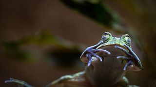 Stanari zagrebačkog Zoološkog vrta u zimskom razdoblju