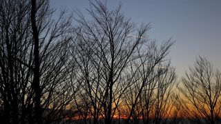 16.03.2014., Juzni Velebit – Topljenje snijega na Juznom Velebitu i procvjetani prvi planinski cvjetovi u ranom proljecu najavljuju skorasnje toplije vrijeme. Photo: Filip Brala/PIXSELL Autor Filip Brala/PIXSELL Ključne riječi rekreacija, planina, pro 16.03.2014., Juzni Velebit – Topljenje snijega na Juznom Velebitu i procvjetani prvi planinski cvjetovi u ranom proljecu najavljuju skorasnje toplije vrijeme. Photo: Filip Brala/PIXSELL Autor Filip Brala/PIXSELL Ključne riječi rekreacija, planina, pro