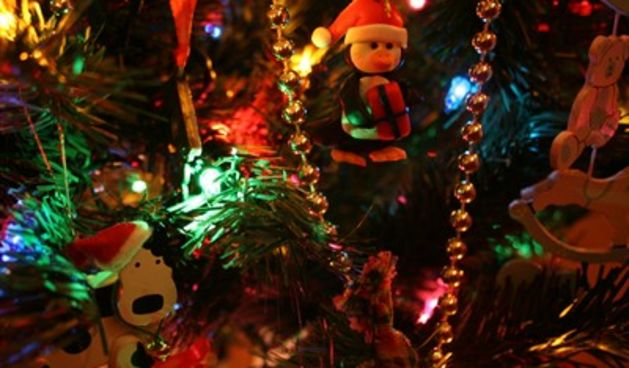 Božić (Foto: Tportal.hr)