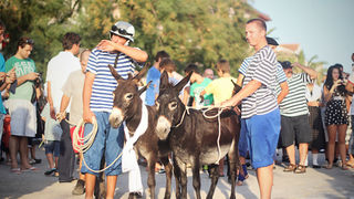 52. Saljske užance, 7. kolovoza 2011.(foto:Saša Čuka)