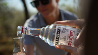 Stabla maraske oblače cvijetno ruho Stabla maraske oblače cvijetno ruho