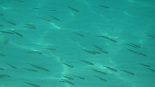 OLYMPUS DIGITAL CAMERA OLYMPUS DIGITAL CAMERA