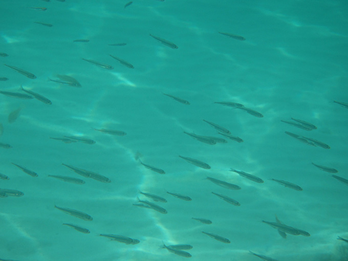 OLYMPUS DIGITAL CAMERA OLYMPUS DIGITAL CAMERA