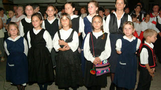 Festica na poluotoku, 11.srpnja 2008.