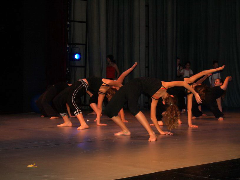 Plesno kazalisna udruga Zalet