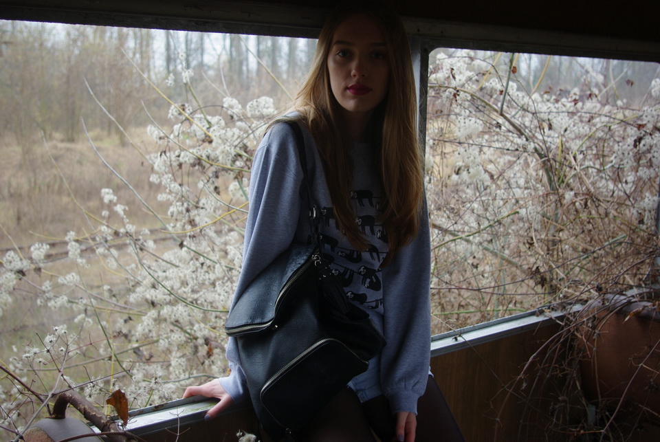 Sugar Ants- majice koje su osvojile Hrvatsku