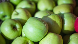 Đir po pijaci, 30. siječnja 2012. (foto:Saša Čuka)