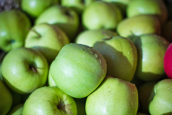 Đir po pijaci, 30. siječnja 2012. (foto:Saša Čuka)