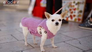 Đir po gradu, subotnja špica 6. travnja 2019. Đir po gradu, subotnja špica 6. travnja 2019.