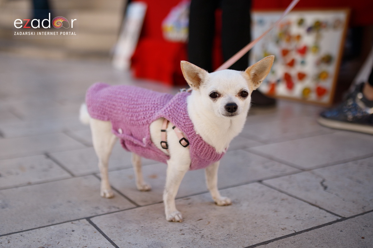 Đir po gradu, subotnja špica 6. travnja 2019. Đir po gradu, subotnja špica 6. travnja 2019.