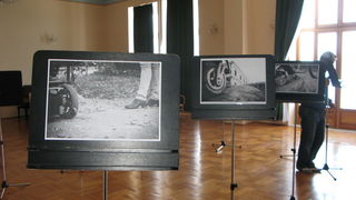 Dani studentskog savjetovališta, izložba Tee Balog Dani studentskog savjetovališta, izložba Tee Balog