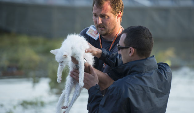Azil Dumovec pomaže životinjama u Slavoniji