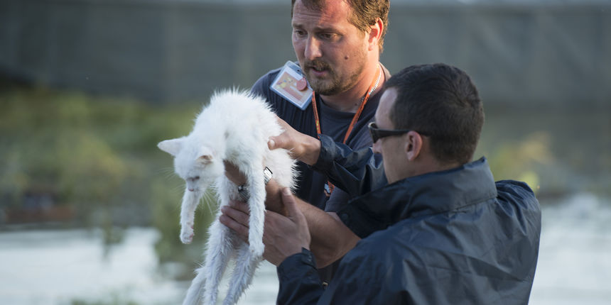 Azil Dumovec pomaže životinjama u Slavoniji