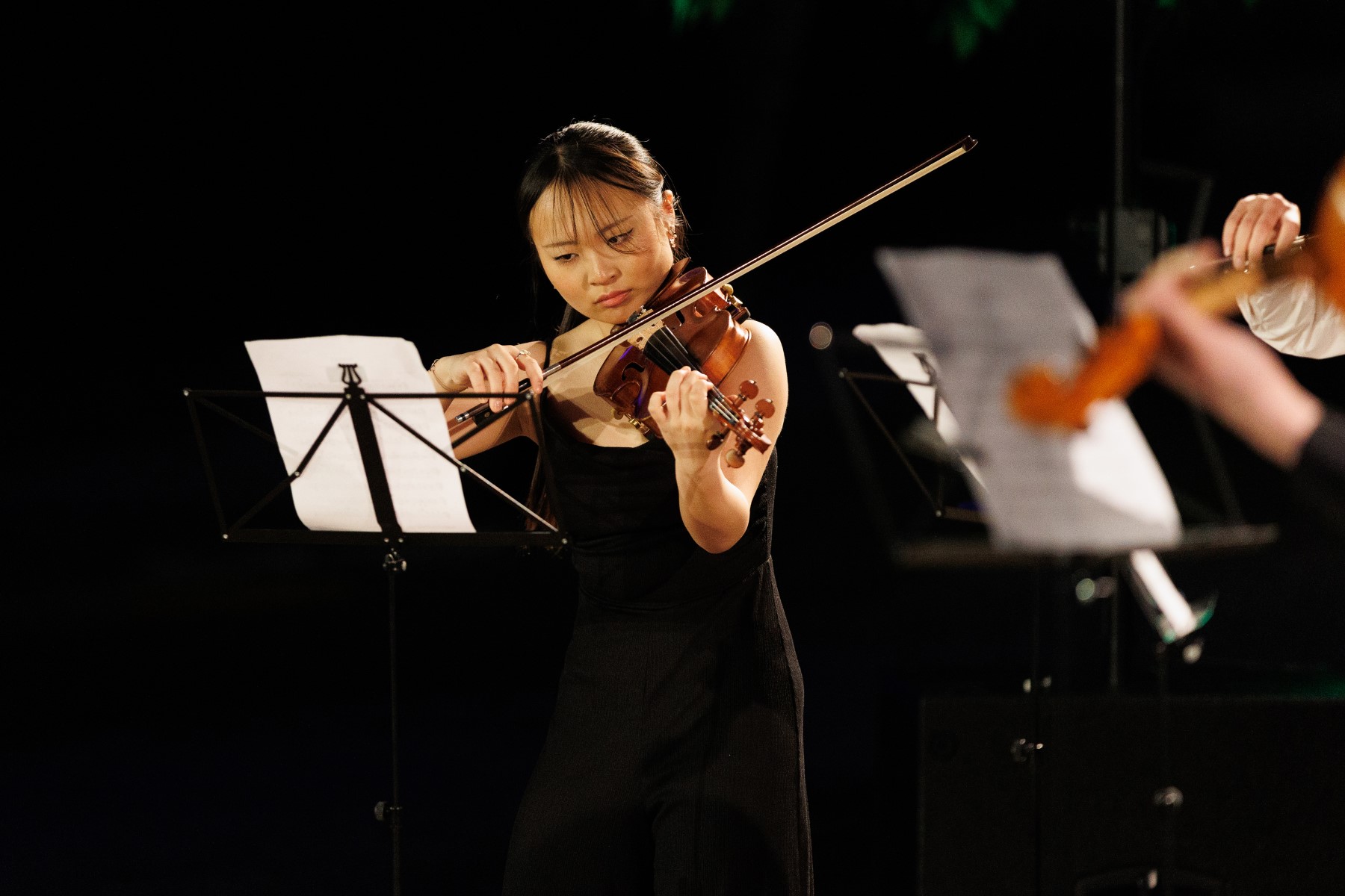 Noć tvrđava u Zadru – poslijepodnevni program