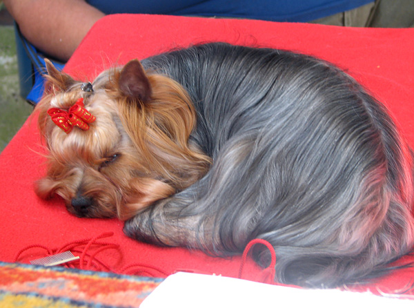 Image 1171057 (auto)