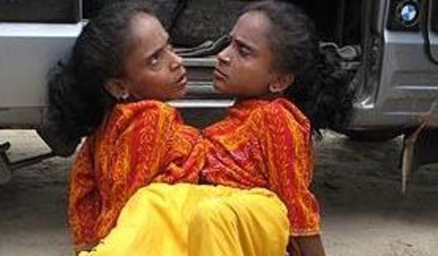 Paukove sestre (Metro-portal.hr)