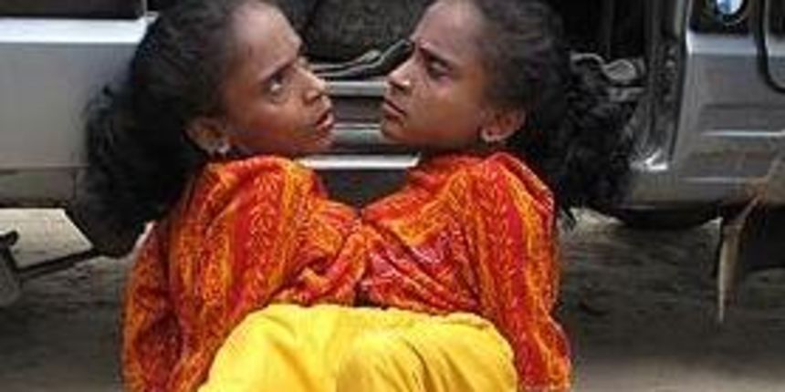 Paukove sestre (Metro-portal.hr) Paukove sestre (Metro-portal.hr)