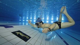 SC Višnjik: Podvodna izložba ronilačkog kluba “Roko” SC Višnjik: Podvodna izložba ronilačkog kluba “Roko”