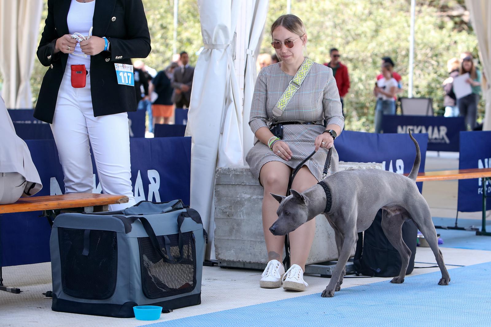 Međunarodna izložba pasa CACIB 2023