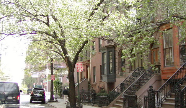 Djir po New Yorku, Manhattan 25. travnja 2008.