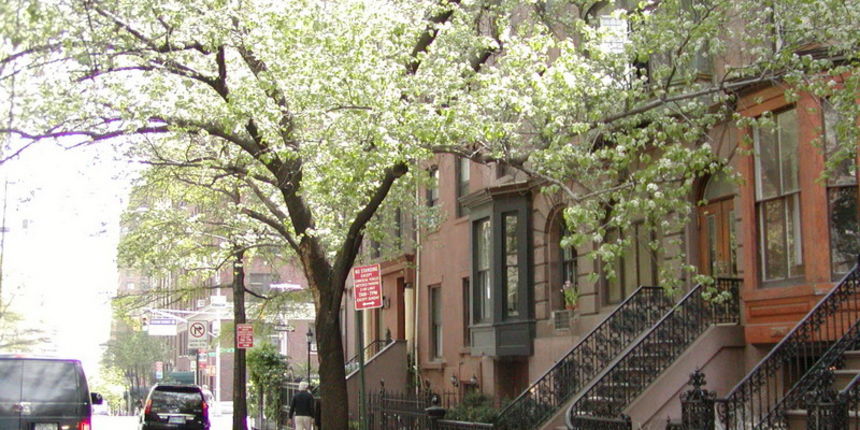 Djir po New Yorku, Manhattan 25. travnja 2008. Djir po New Yorku, Manhattan 25. travnja 2008.