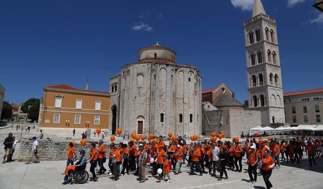 Multipla skleroza, MS đir