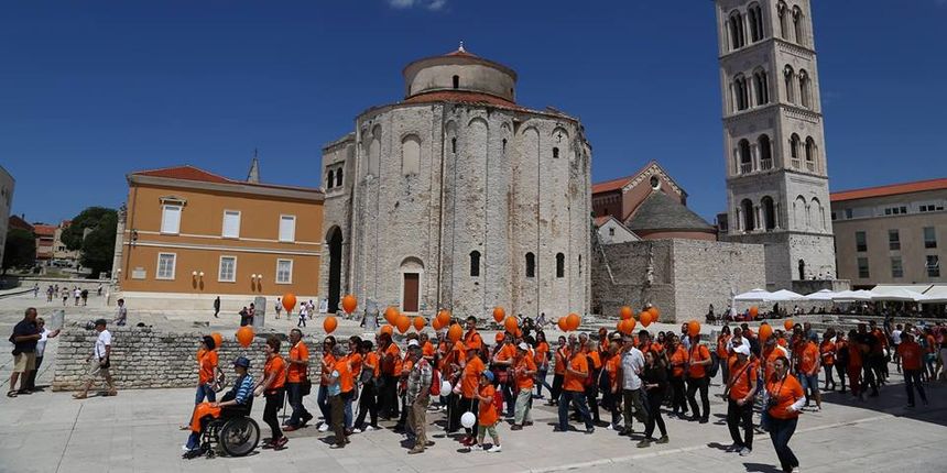 Multipla skleroza, MS đir Multipla skleroza, MS đir