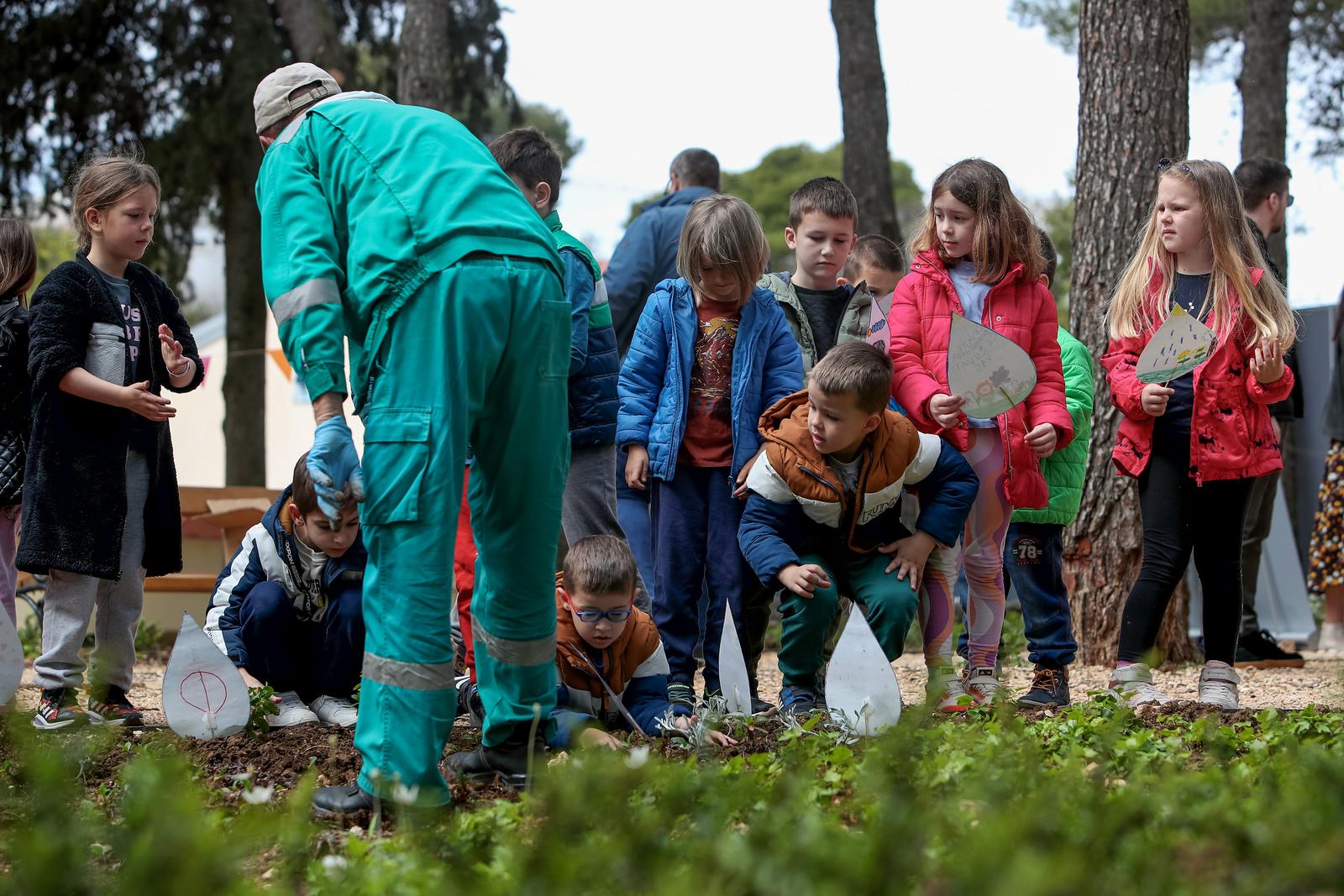 U Vruljici uređen Kišni vrt U Vruljici uređen Kišni vrt