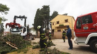 Olujno jugo oborilo stablo i električni stup