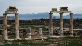 OLYMPUS DIGITAL CAMERA OLYMPUS DIGITAL CAMERA