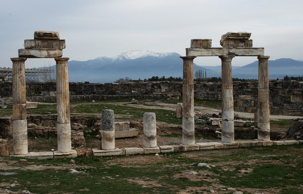 OLYMPUS DIGITAL CAMERA OLYMPUS DIGITAL CAMERA