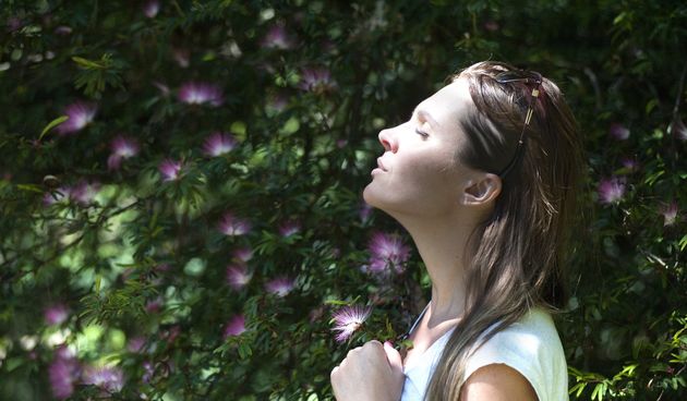 Utvrđeno je da rak pluća ima najveći broj smrtnih slučajeva, nakon čega slijedi rak debelog crijeva. Studija je objavljena u časopisu CA: A Cancer Journal for Clinicians
