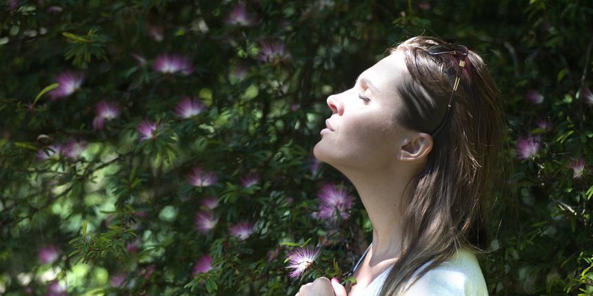 Utvrđeno je da rak pluća ima najveći broj smrtnih slučajeva, nakon čega slijedi rak debelog crijeva. Studija je objavljena u časopisu CA: A Cancer Journal for Clinicians Utvrđeno je da rak pluća ima najveći broj smrtnih slučajeva, nakon čega slijedi rak debelog crijeva. Studija je objavljena u časopisu CA: A Cancer Journal for Clinicians