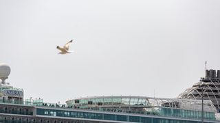 Zadar: Jutros u Gaženicu uplovio kruzer Azura Zadar: Jutros u Gaženicu uplovio kruzer Azura