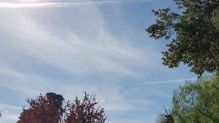 Đir po gradu 19. listopada 2016.