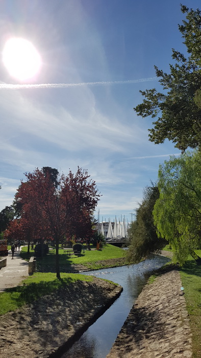 Đir po gradu 19. listopada 2016.