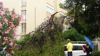 18.7.2009. Posljedice nevremena u ul. F. Tudjmana i B.J.Jelacica u Zadru 18.7.2009. Posljedice nevremena u ul. F. Tudjmana i B.J.Jelacica u Zadru