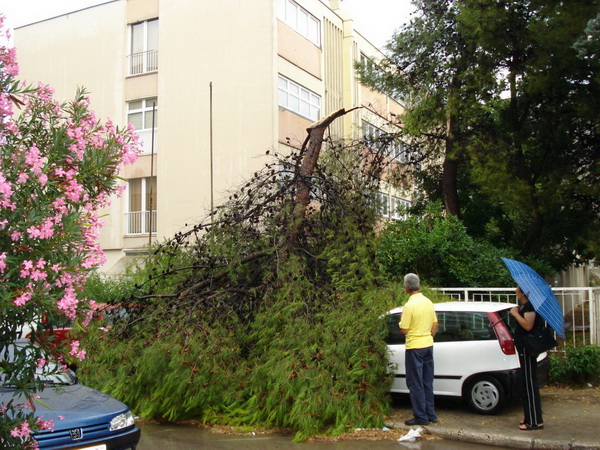 18.7.2009. Posljedice nevremena u ul. F. Tudjmana i B.J.Jelacica u Zadru 18.7.2009. Posljedice nevremena u ul. F. Tudjmana i B.J.Jelacica u Zadru